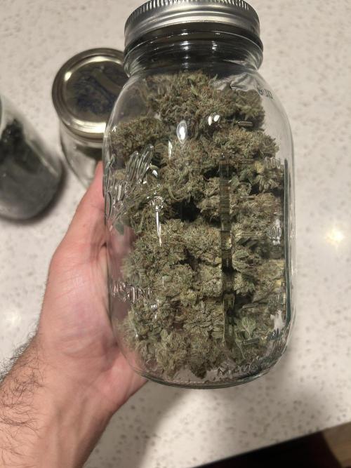 Dreadnought. Week 16