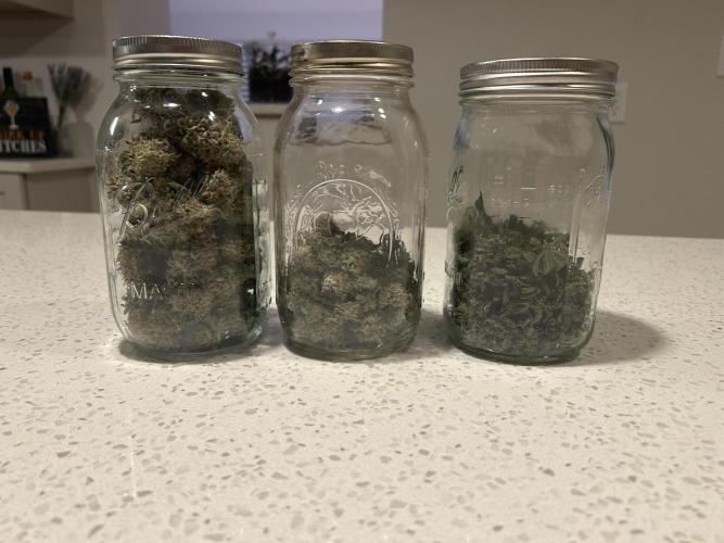 Dreadnought. Week 16