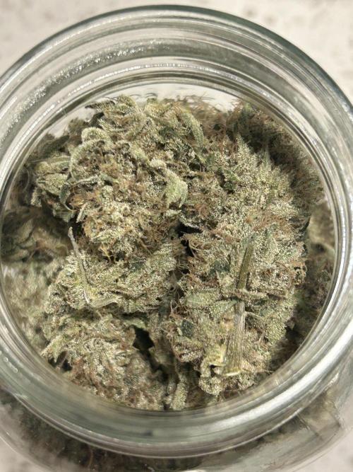 Dreadnought. Week 16