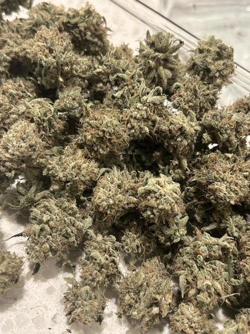 Dreadnought. Week 16