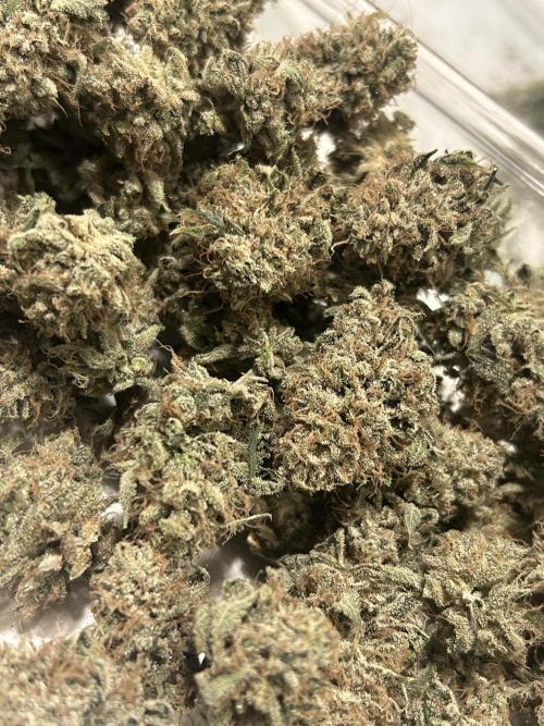 Dreadnought. Week 16