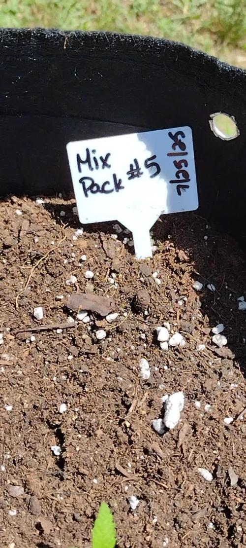 Mix Pack #5 - Outdoor 2025
