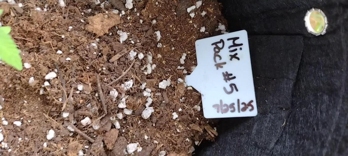 Mix Pack #5 - Outdoor 2025