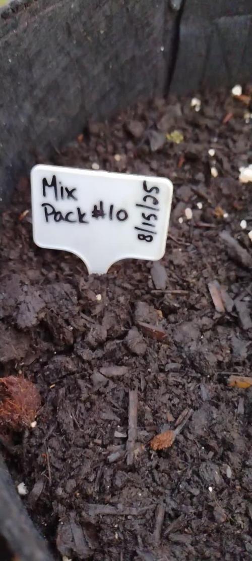 Mix Pack Auto #10 - 2025 Outdoor