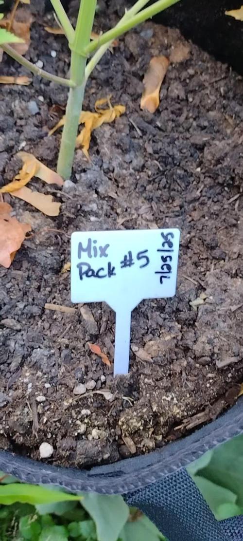 Mix Pack Auto #5 - Outdoor 2025