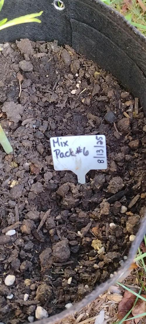 Mix Pack Autos #6 thru 9 - 2025 Outdoor