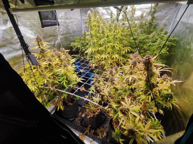 Segundo indoor. Week 12