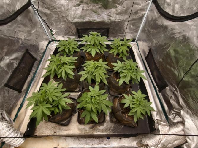 Cuarto indoor. Week 4