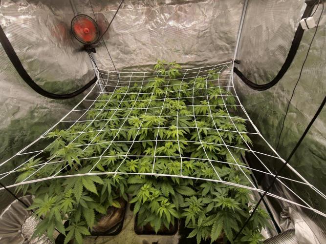 Cuarto indoor. Week 6
