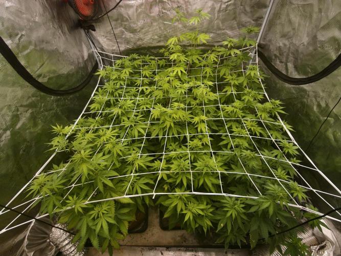 Cuarto indoor. Week 7