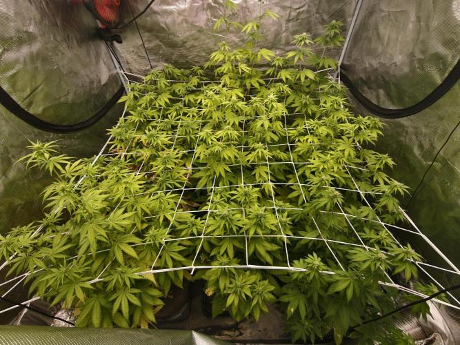Cuarto indoor. Week 8