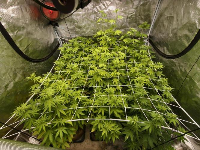 Cuarto indoor. Week 8