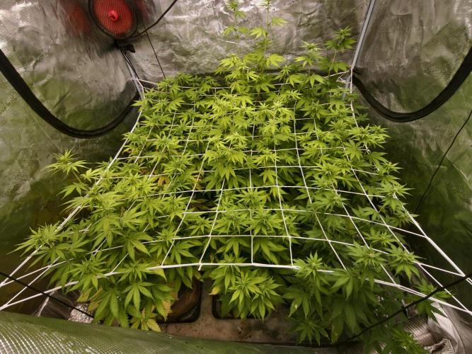 Cuarto indoor. Week 8