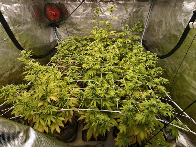 Cuarto indoor. Week 9