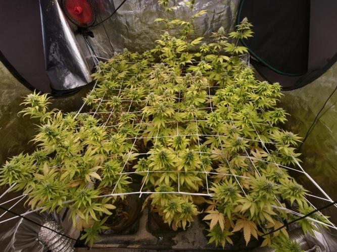 Cuarto indoor. Week 10