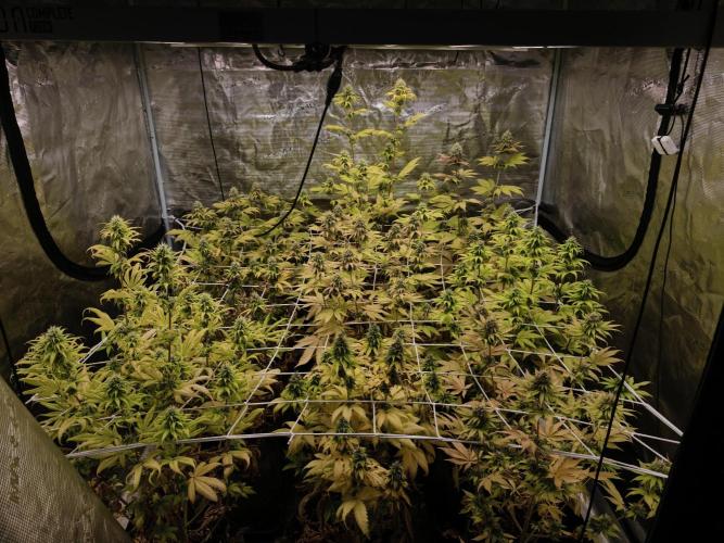 Cuarto indoor. Week 11