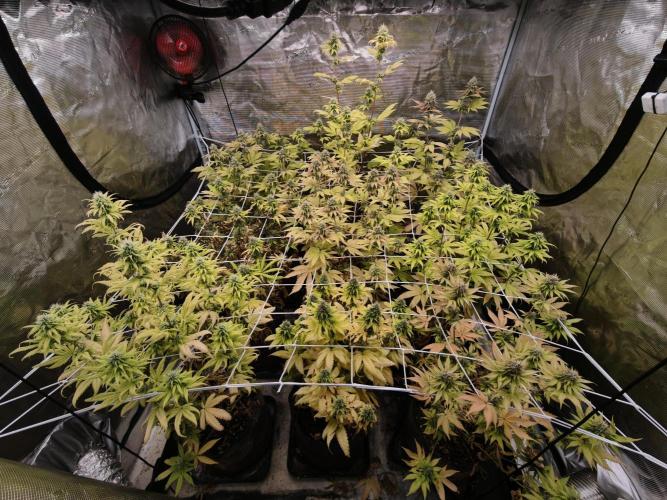 Cuarto indoor. Week 11