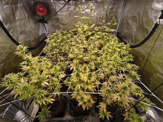 Cuarto indoor. Week 11