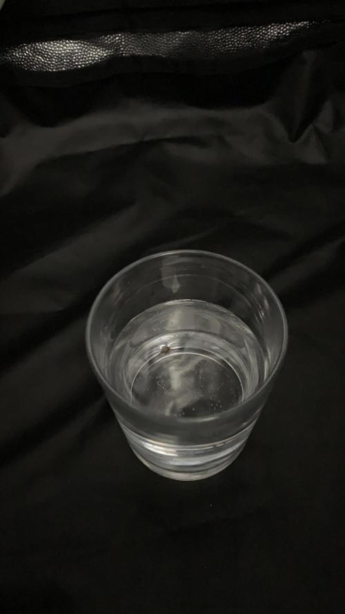 Canna-Cheese 1:1 microgrow. Week 0