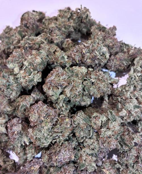 02 | CANNA-CHEESE 1:1 (54W). Week 13