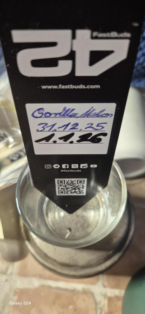 FirstFemGrow1.1.26. Week 0