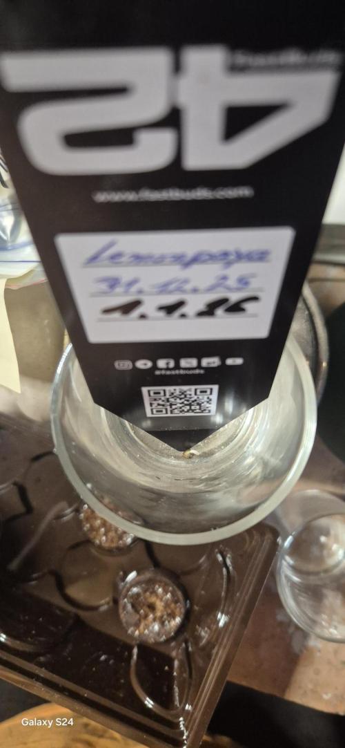 FirstFemGrow1.1.26. Week 0