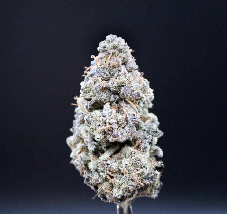 Blemics_ Growdiaries ´3. Week 19