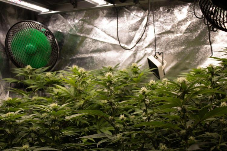 back2basix. Week 8