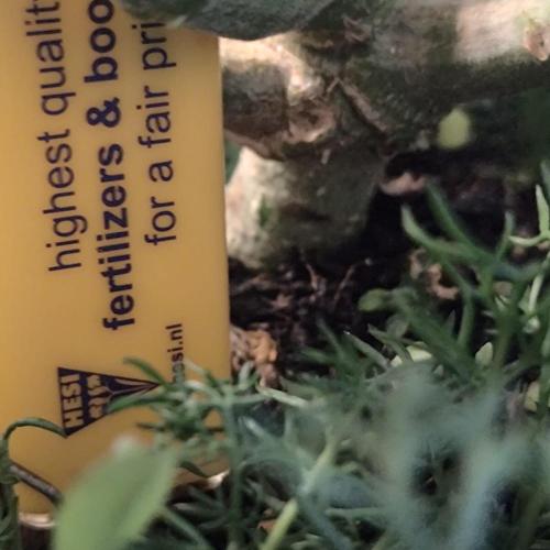 ~ * + Round 2 + * ~. Week 9