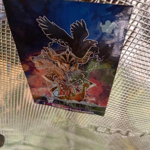 ~ * + Round 2 + * ~. Week 10