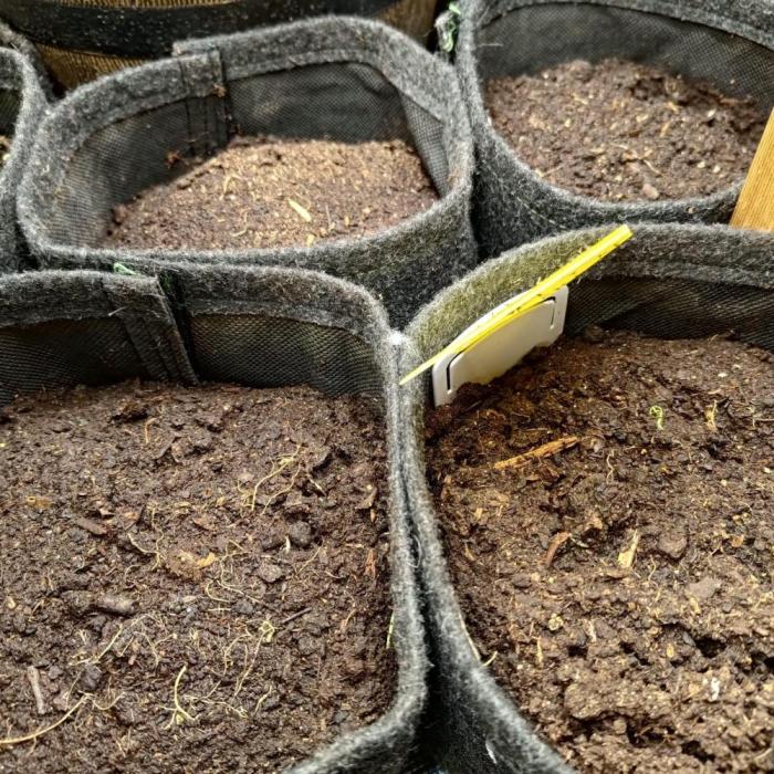 Fresh start Grow 2/2 [3]. Week 0