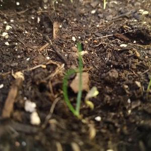 Comment by Raffitsch photo #1