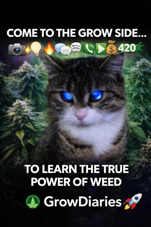 The Splendor of Winter. Week 1