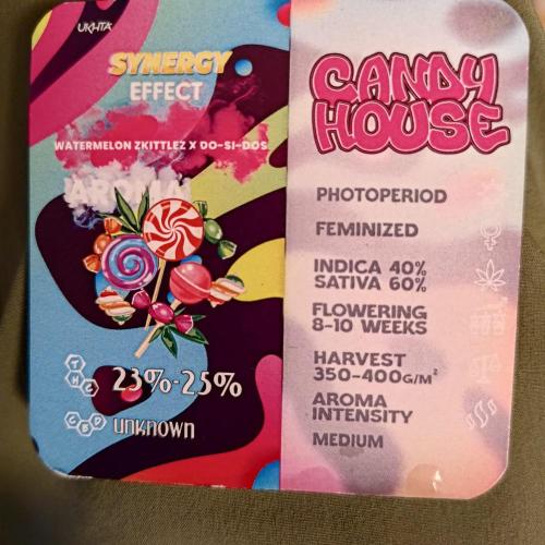 Master of Honey. Week 0