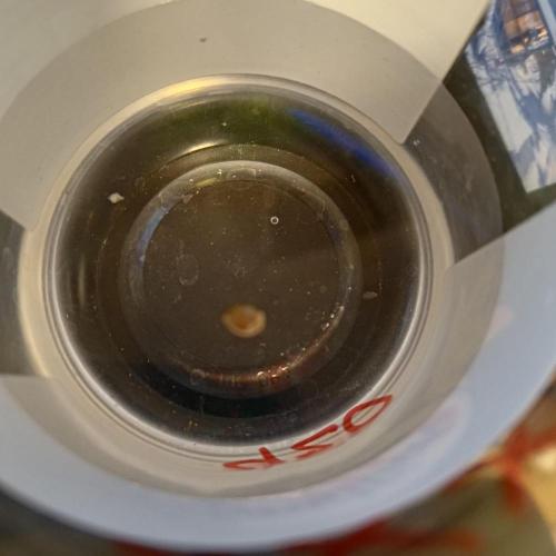 Master of Honey. Week 0