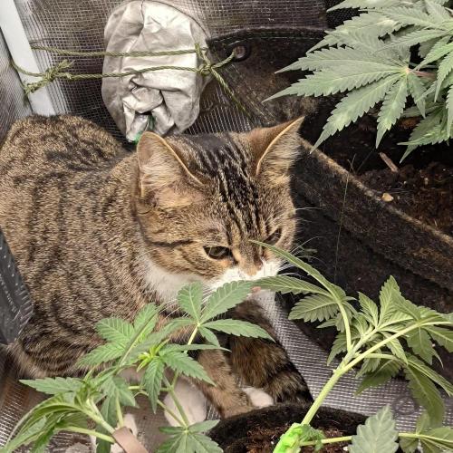 The Splendor of Winter. Week 6