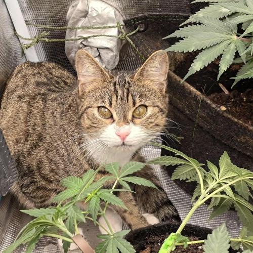 The Splendor of Winter. Week 6