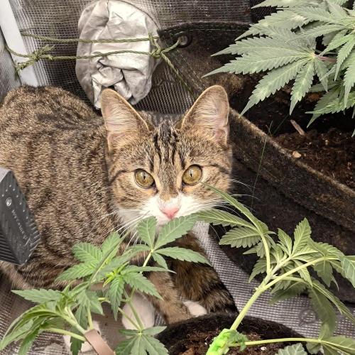 The Splendor of Winter. Week 6