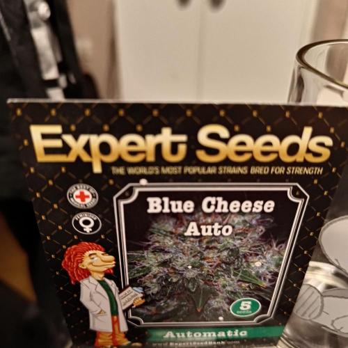 Crescere italiano?. Week 0