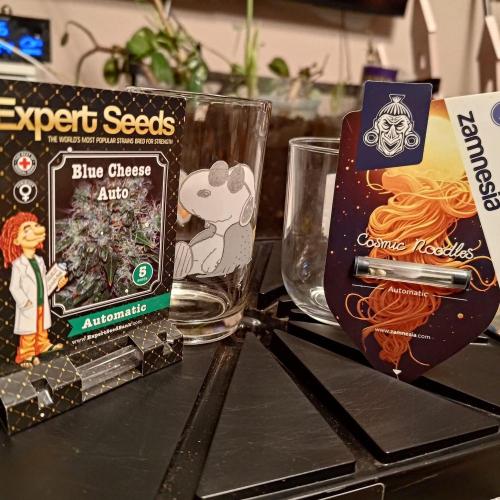 Crescere italiano?. Week 0