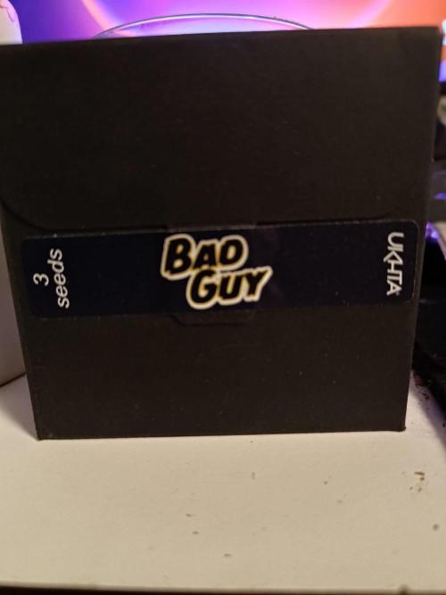 Bad Guy. Week 0