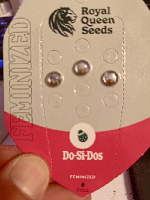 Do-Si-Dos. Week 0