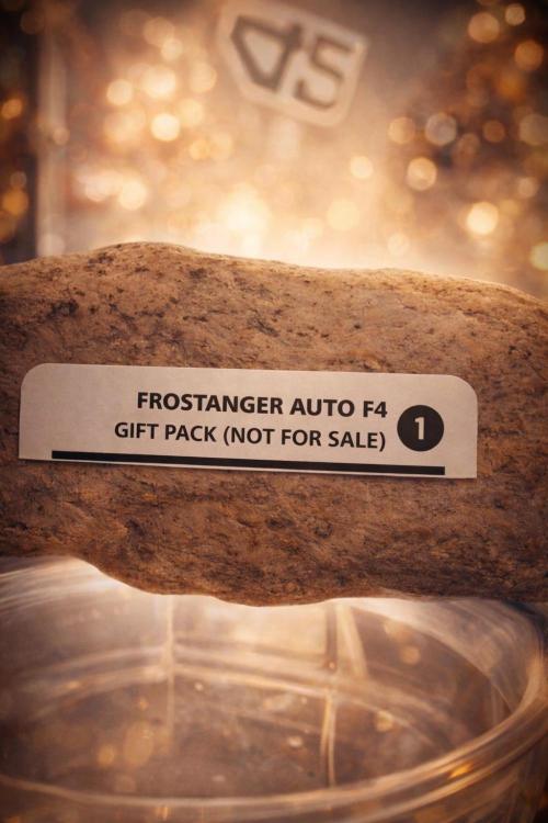 Fast Buds - Frostbanger Auto by AuTelemeNtR