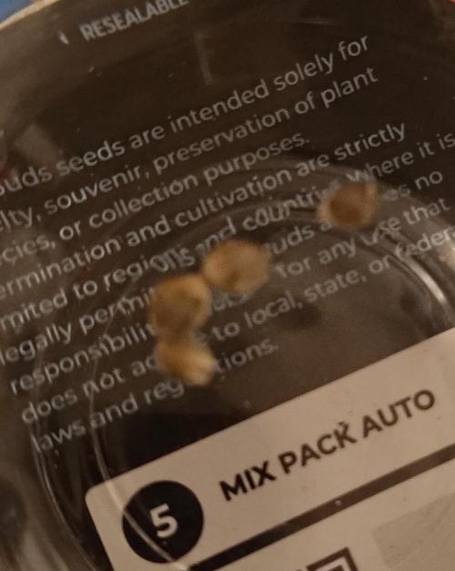 Mix Pack Auto. Week 0