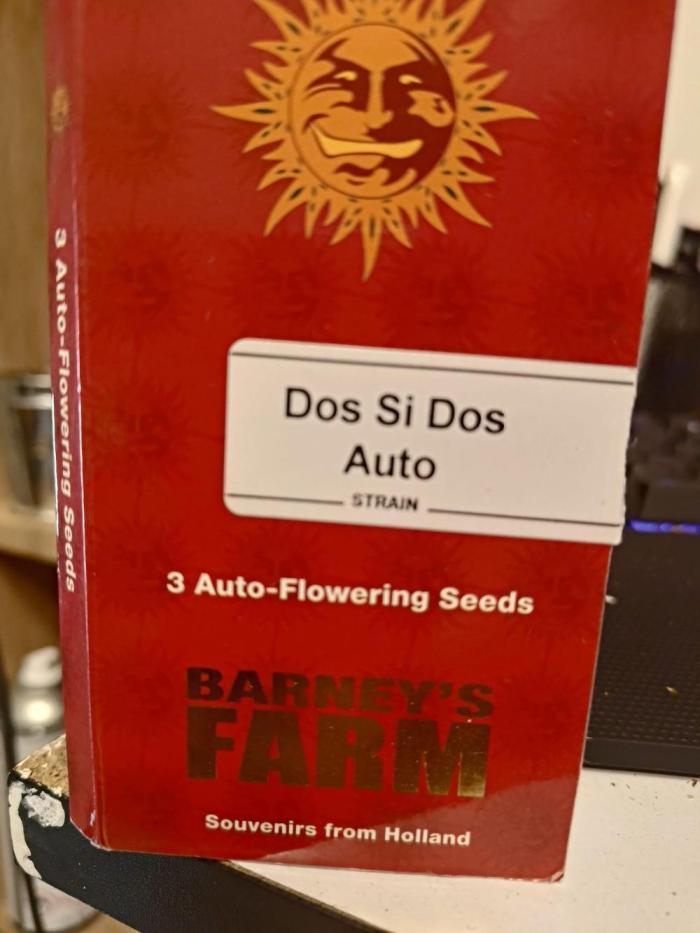 Do Si Dos. Week 0