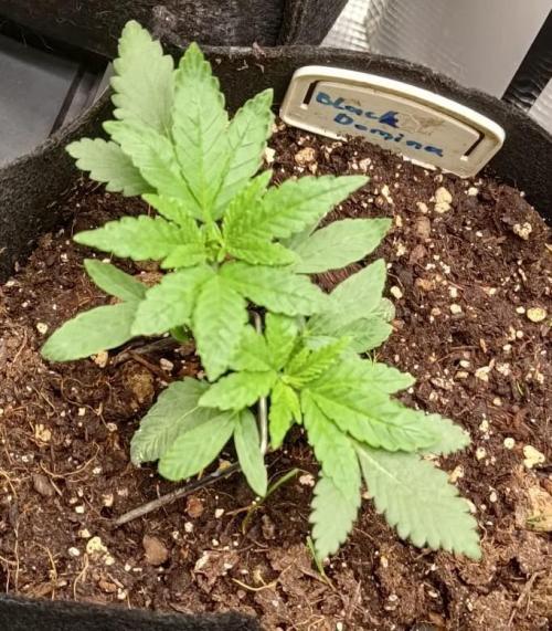 Hit me. Week 4