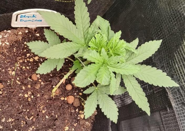 Hit me. Week 4