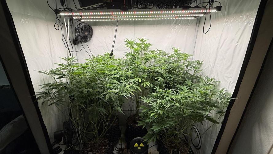 Fastbuds. Week 11 - Fastbuds 