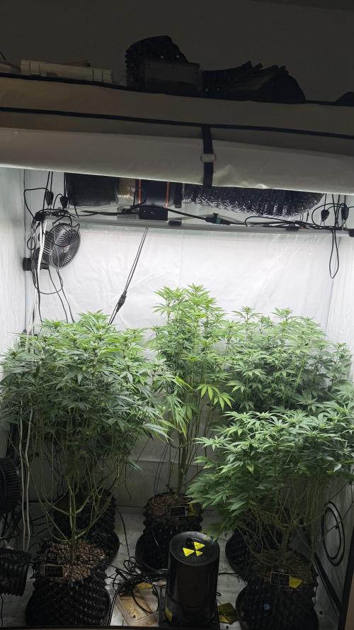 Fastbuds. Week 12 - Fastbuds 