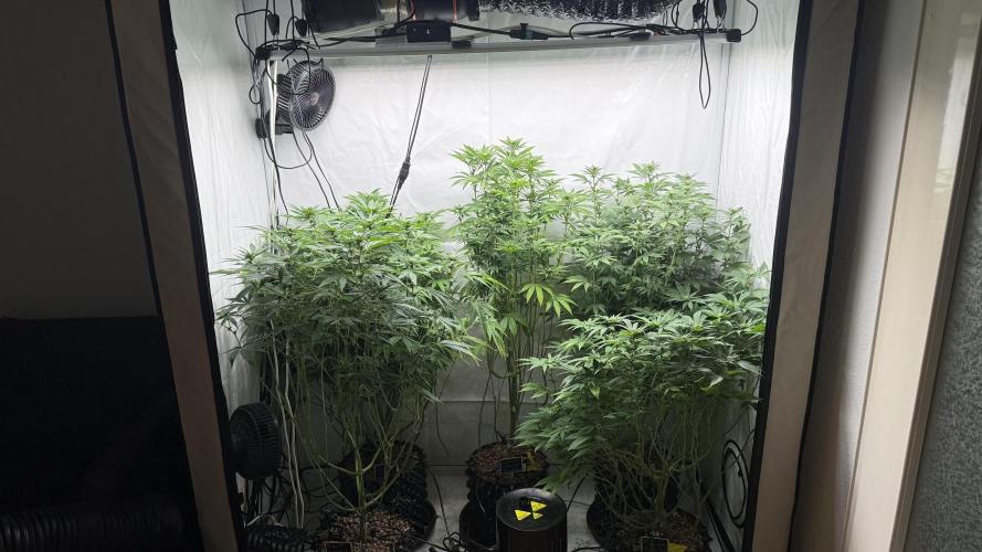 Fastbuds. Week 12 - Fastbuds 